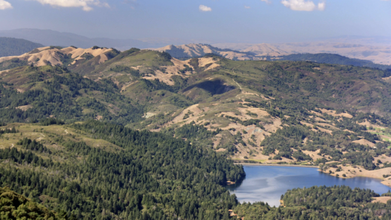 Bon Tempe Lake, MMWD Habitat Restoration: Broom Be Gone, Marin Magazine
