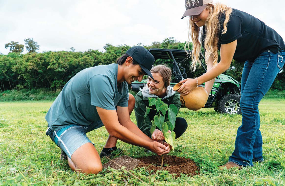 Sustainable Luxury on Oahu - Marin Magazine