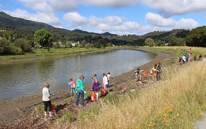 Hal Brown Park, Five Ways to Celebrate Earth Day in Marin, Marin Magazine