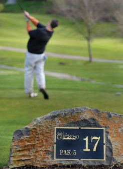 a golfer on the course