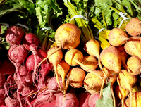 Meet the Chef: Josh Ladd, Marin Magazine