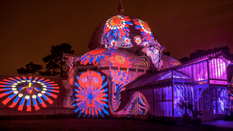 Final Night of “Photosynthesis”, Marin Magazine